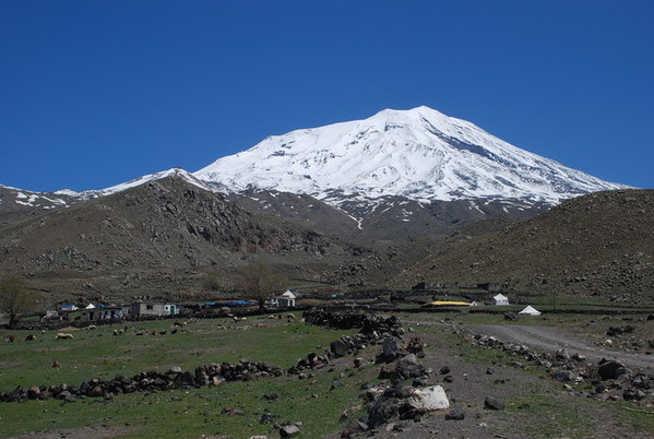 ��������, �������������� ��������, ���� 1019