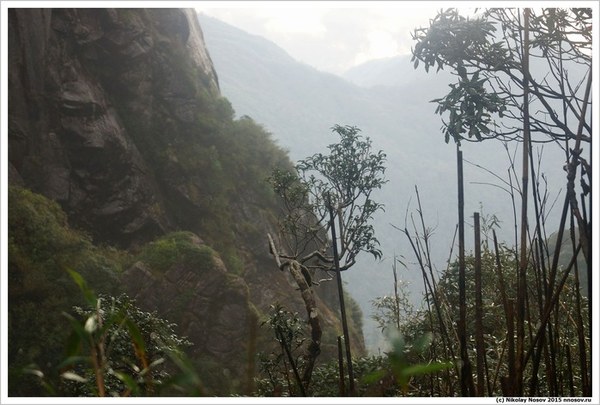 ��������, �������������� ��������, ���� 1041