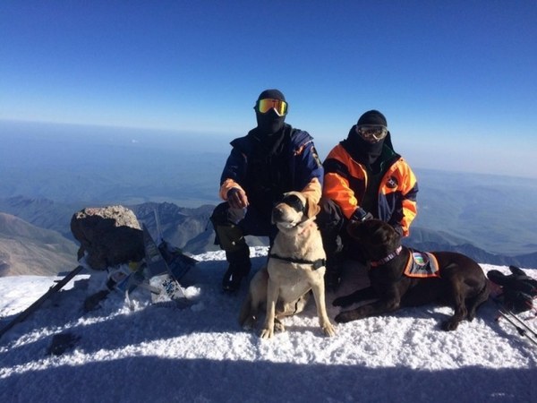 ��������, �������������� ��������, ���� 1263