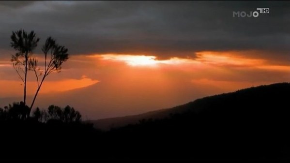 ��������, �������������� ��������, ���� 176