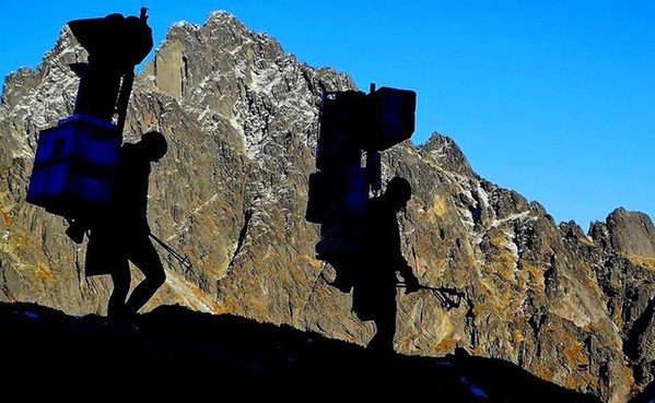 ��������, �������������� ��������, ���� 510