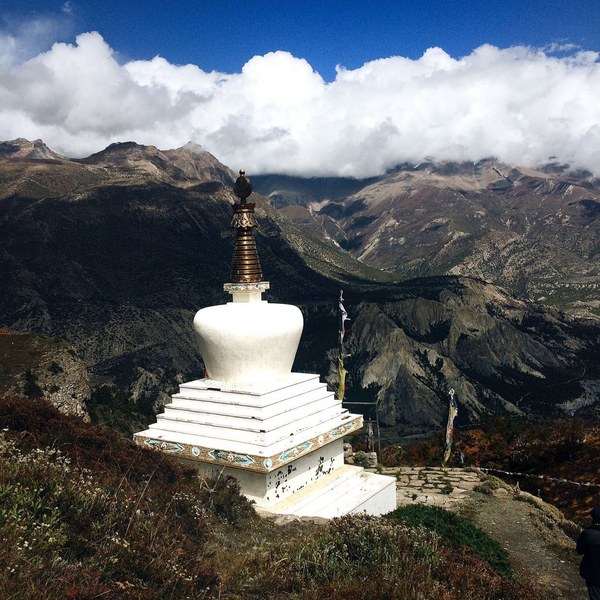 ���� ���������. ����� ������� ��������, ���� 36