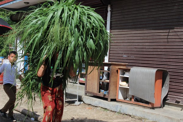 ���� ���������. ����� ������� ��������, ���� 1