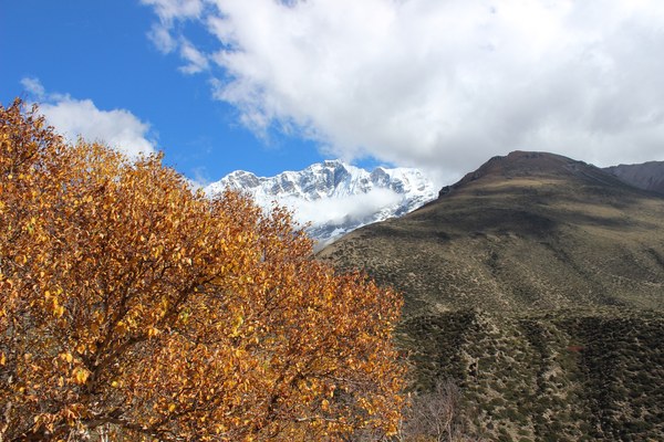 ���� ���������. ����� ������� ��������, ���� 3