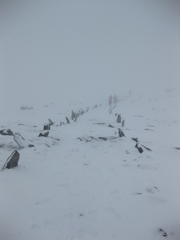 ���� ���������. ����� ������� ��������, ���� 45