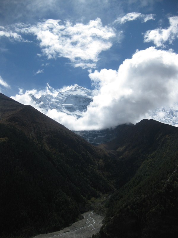 ���� ���������. ����� ������� ��������, ���� 46