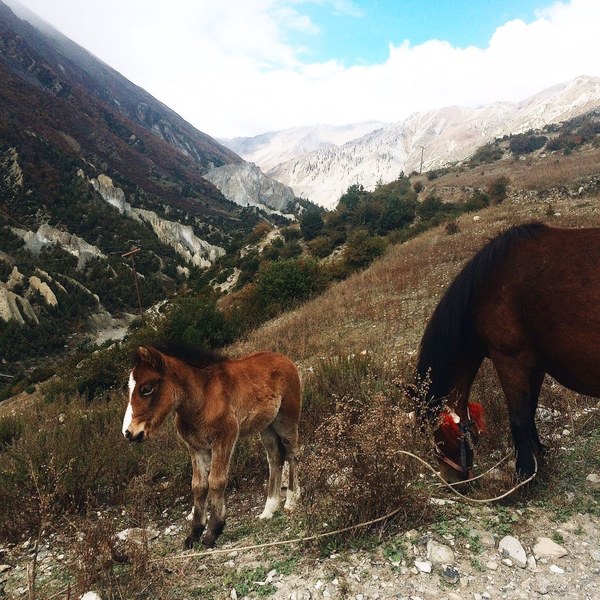 ���� ���������. ����� ������� ��������, ���� 37