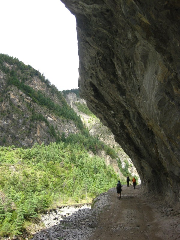 ���� ���������. ����� ������� ��������, ���� 49