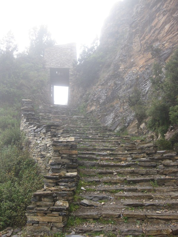 ���� ���������. ����� ������� ��������, ���� 51