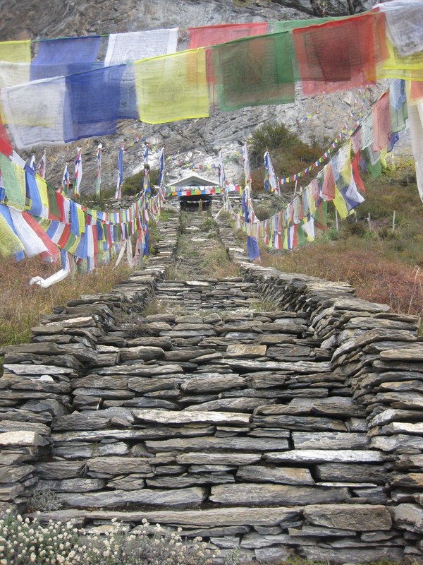 ���� ���������. ����� ������� ��������, ���� 53