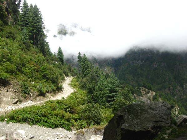 ���� ���������. ����� ������� ��������, ���� 31