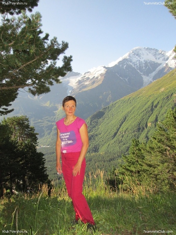 ����, ���� 277