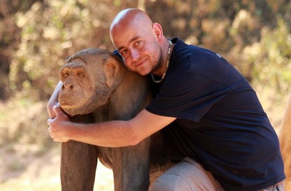 ��������, �������������� ��������, ���� 619