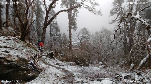 ����� 2017. ���� ���, ���� 12