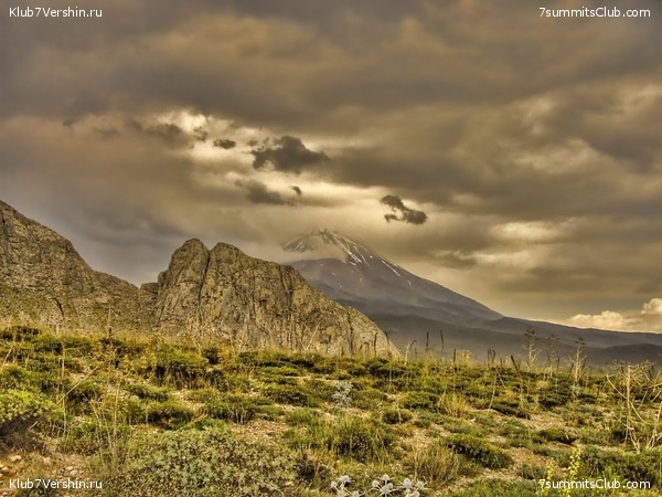 ����������� �� ��������, ���� 98