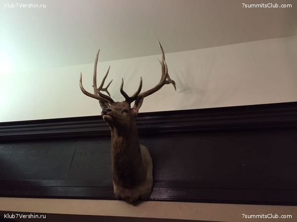 ������ 2017, ���� 13