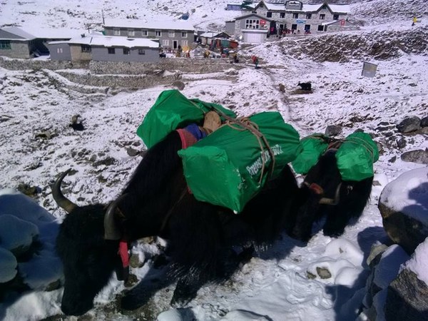 ��������, �������������� ��������, ���� 1298