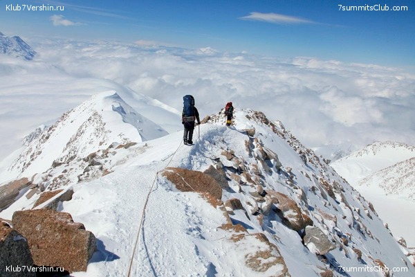 ������ 2017, ���� 4