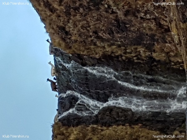 ���� �����, ���� 47