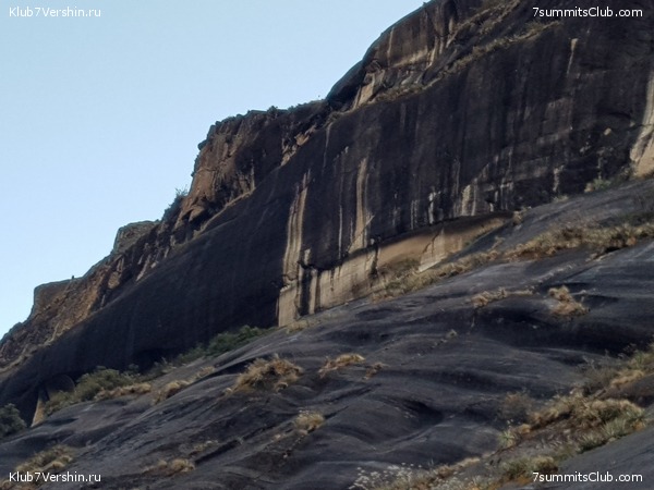 ���� �����, ���� 50