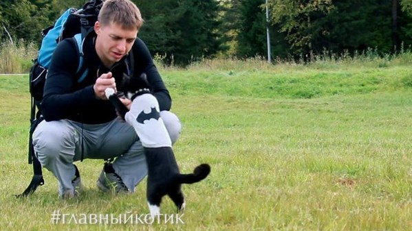 ��������, �������������� ��������, ���� 222