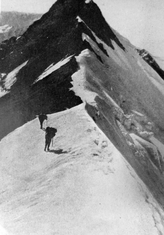 ������������� ����. ������� �����������, ���� 41