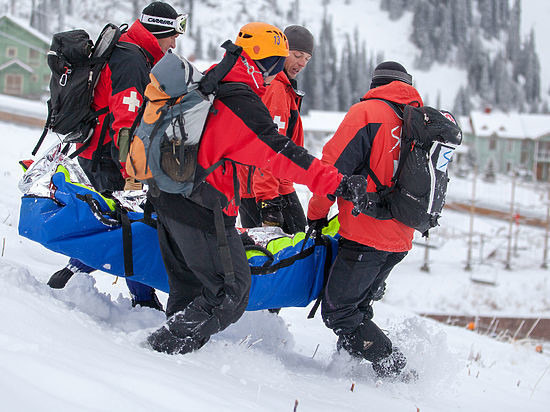 ��������, �������������� ��������, ���� 1204