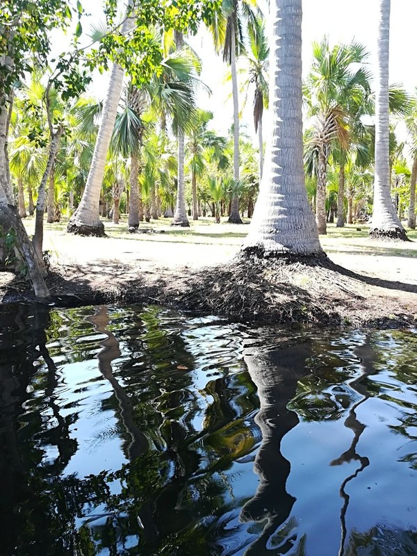 �������. ������ ����������, ���� 45