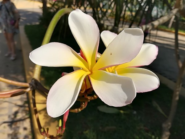 �������. ������ ����������, ���� 14