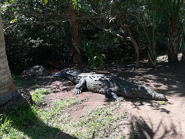 �������. ������ ����������, ���� 17