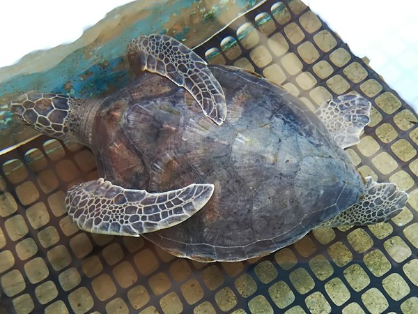 �������. ������ ����������, ���� 18