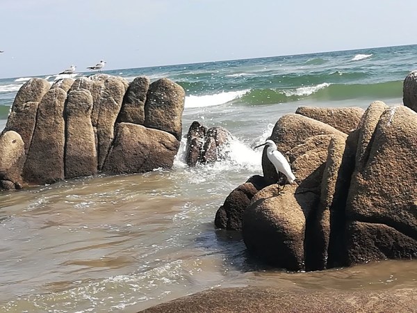 �������. ������ ����������, ���� 20