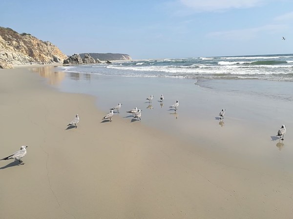 �������. ������ ����������, ���� 21