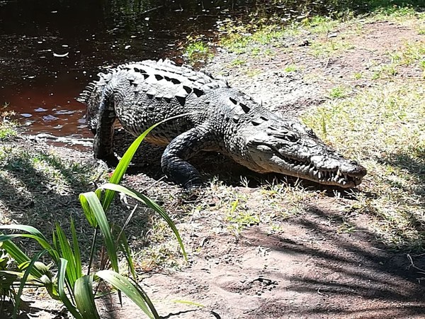 �������. ������ ����������, ���� 25