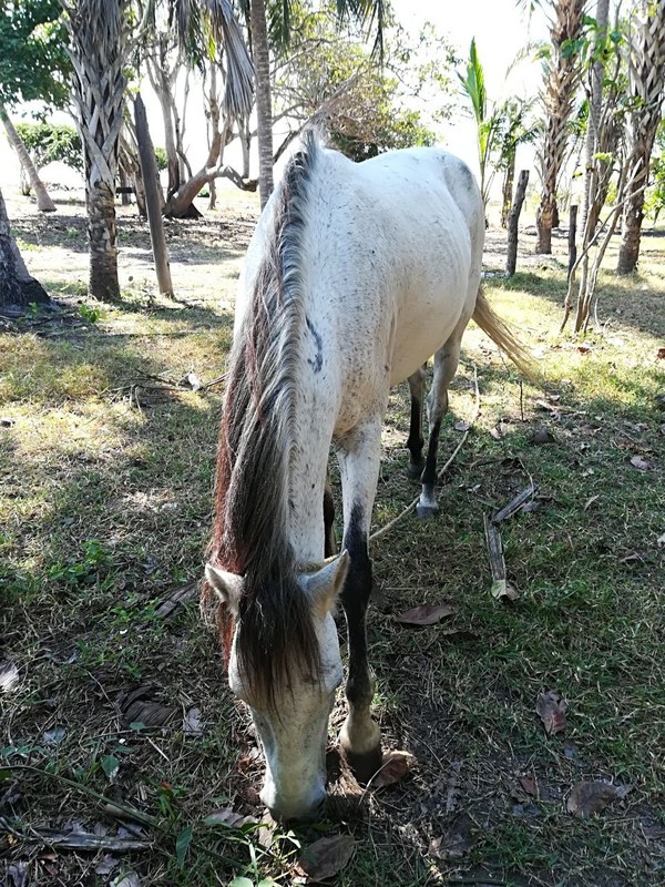 �������. ������ ����������, ���� 49