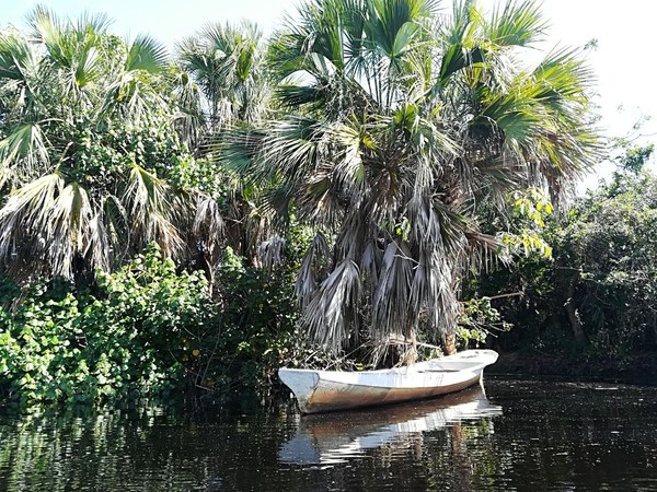 �������. ������ ����������, ���� 29