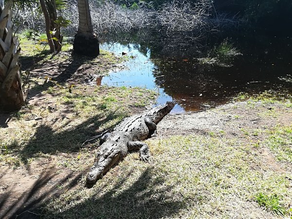 �������. ������ ����������, ���� 30