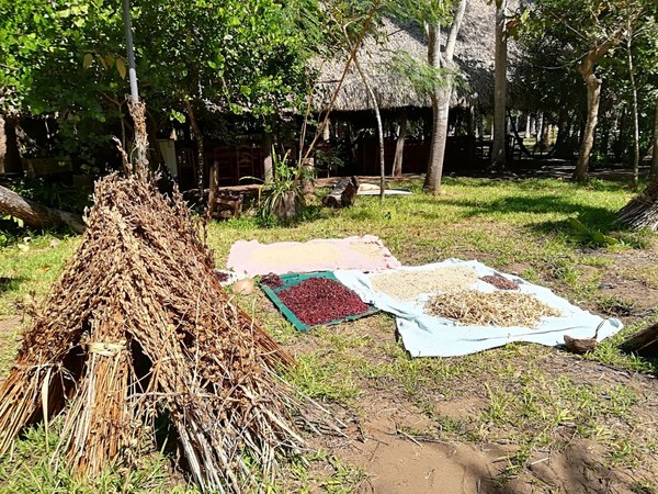 �������. ������ ����������, ���� 32