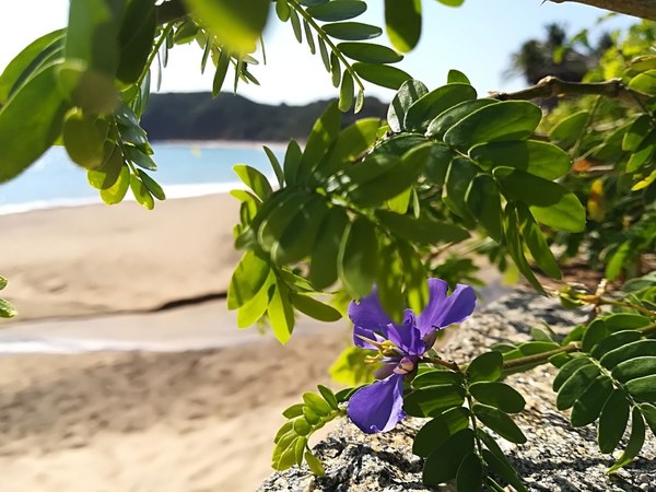 �������. ������ ����������, ���� 34