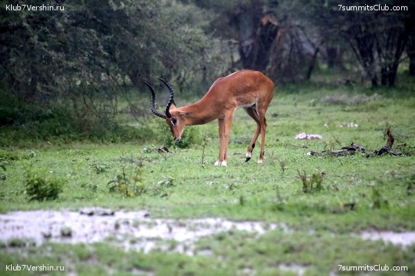 00-������������ �������, ���� 114