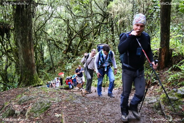 00-������������ �������, ���� 117