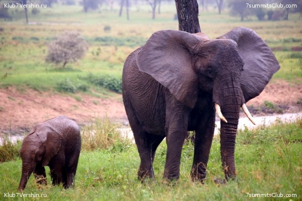 00-������������ �������, ���� 119