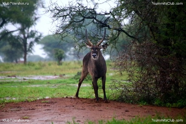 00-������������ �������, ���� 120