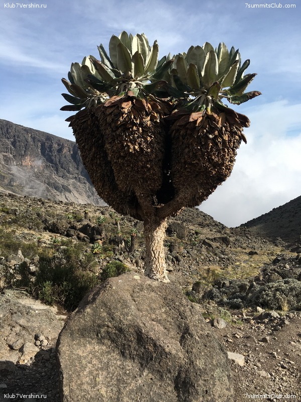 00-������������ �������, ���� 255