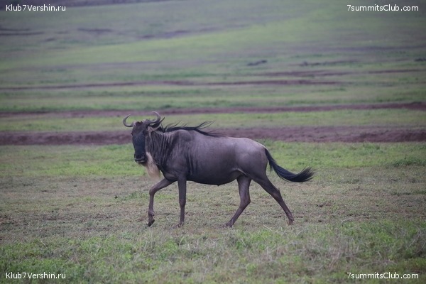 00-������������ �������, ���� 125