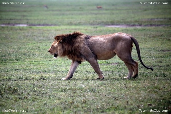 00-������������ �������, ���� 127