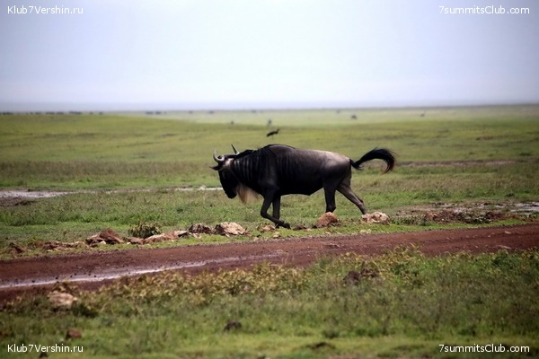 00-������������ �������, ���� 133