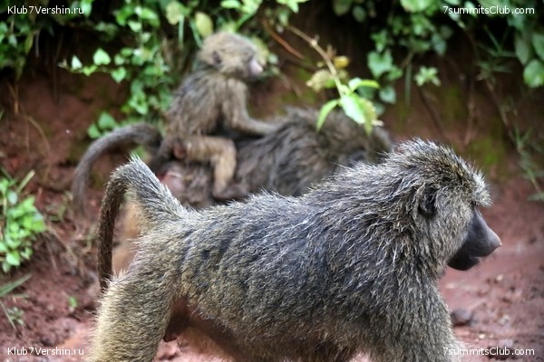 00-������������ �������, ���� 134