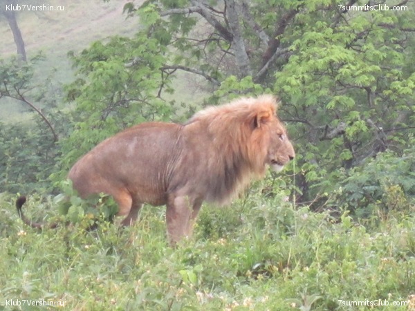 00-������������ �������, ���� 198