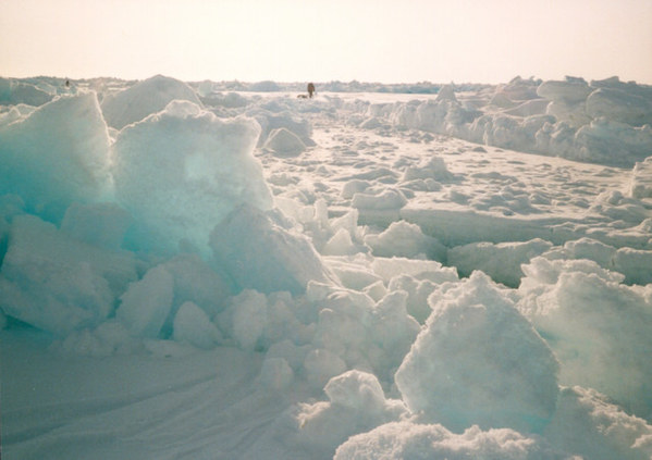 ��������, �������������� ��������, ���� 1122